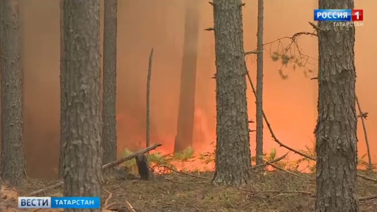 В Зеленодольске спустили на воду два корабля для Северного морского пути