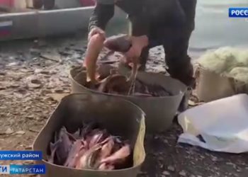 В Татарстане задержали браконьеров с уловом на 375 тысяч рублей