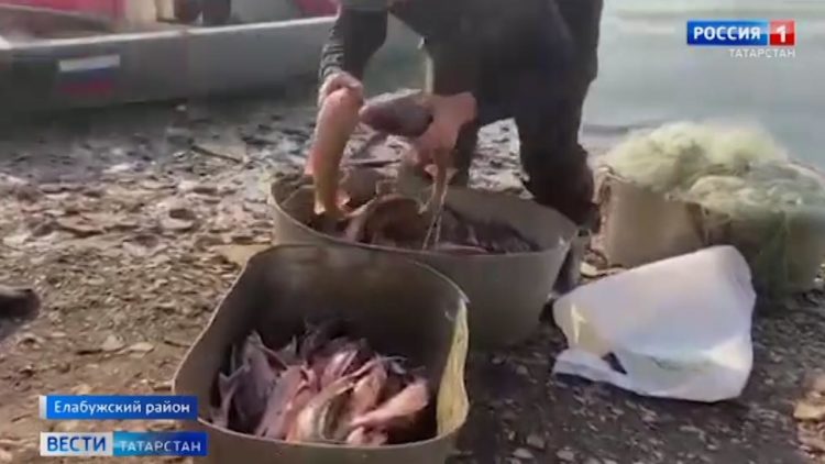 В Татарстане задержали браконьеров с уловом на 375 тысяч рублей