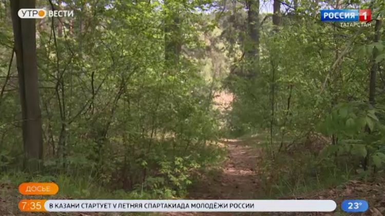 В Татарстане ожидается жара до +34