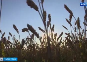 Рустам Минниханов провел лекцию для студентов в рамках проекта «Знание»