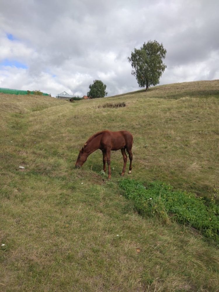 Яңалыклар (30.09.2021)