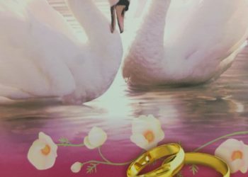 Пар канатлар (28.09.2021)