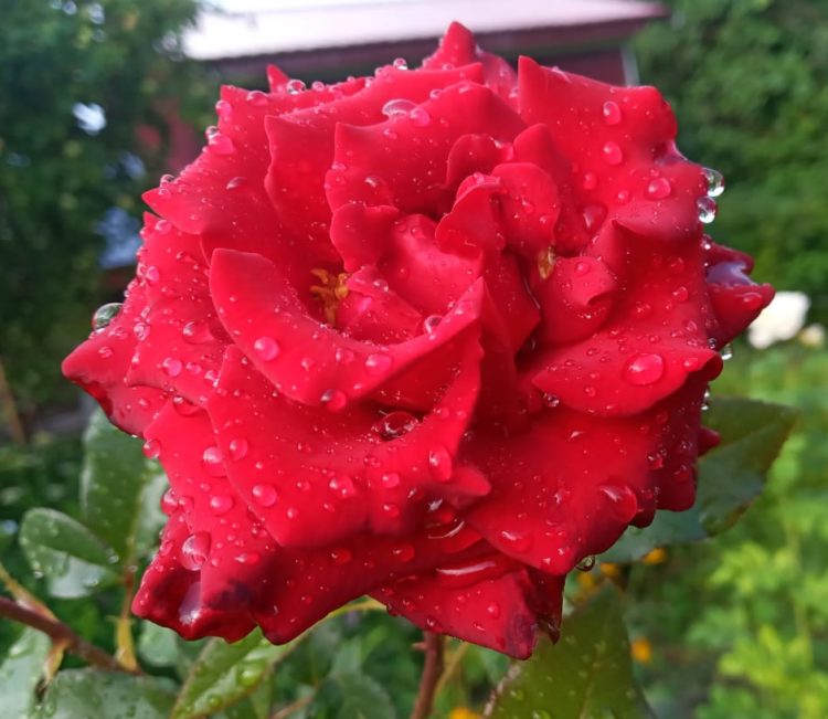 Анонслар — Анонс (05.09.2021-12.09.2021)