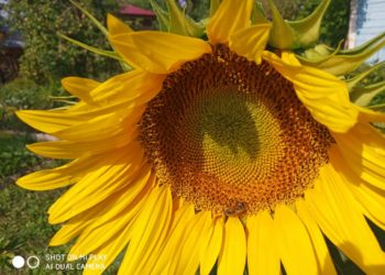 Кичке концерт (03.09.2021)