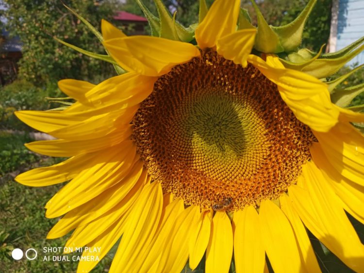 Кичке концерт (03.09.2021)