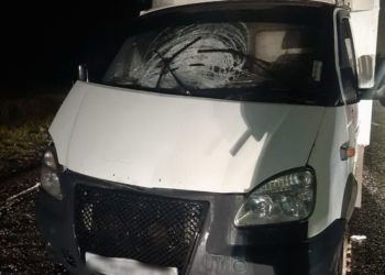 В Челнах ночью «Газель» насмерть сбила пешехода