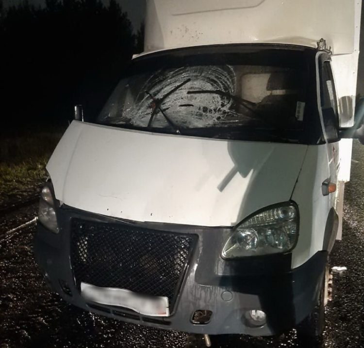 В Челнах ночью «Газель» насмерть сбила пешехода