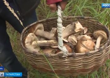 Согреться в ожидании тепла: стала известна дата начала отопительного сезона в Татарстане