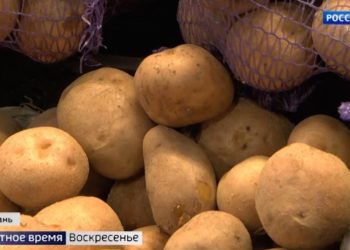 Большой диалог в мире спорта: международный форум в Казани собрал легендарных тренеров и политиков