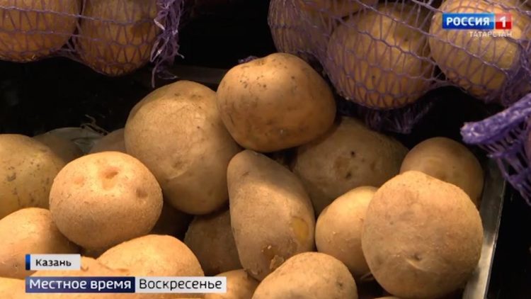 Большой диалог в мире спорта: международный форум в Казани собрал легендарных тренеров и политиков