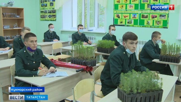 Политические партии Татарстана продолжают подготовку к выборам в Госдуму России