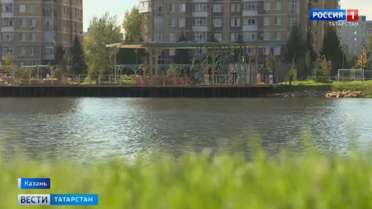 Кандидаты в депутаты Госдумы обсудили здравоохранение