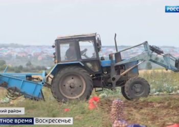 В Татарстане прогнозируется сокращение объема производства продукции сельского хозяйства на 18,3%