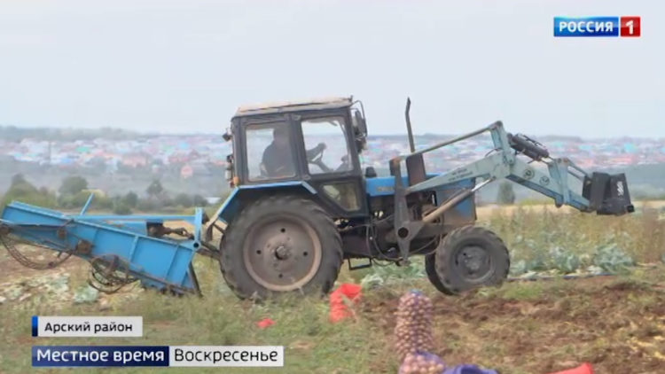В Татарстане прогнозируется сокращение объема производства продукции сельского хозяйства на 18,3%