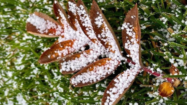 Челнинцы поделились в соцсетях кадрами первого снега