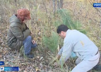 Рустам Минниханов выступил с ежегодным посланием Государственному Совету РТ