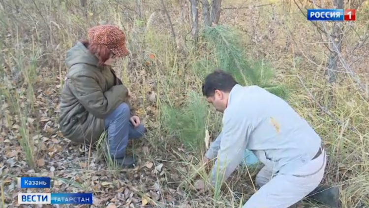 Рустам Минниханов выступил с ежегодным посланием Государственному Совету РТ