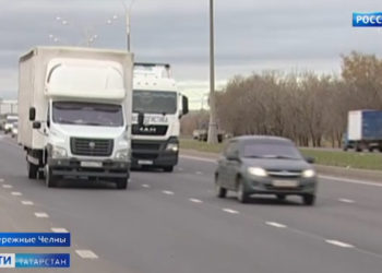 В Казани стартовала перепись бездомных животных