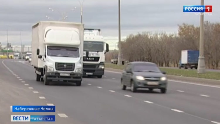 В Казани стартовала перепись бездомных животных