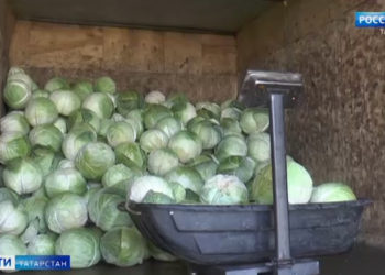 Появились новые подробности ДТП с автобусом и трамваем в Казани