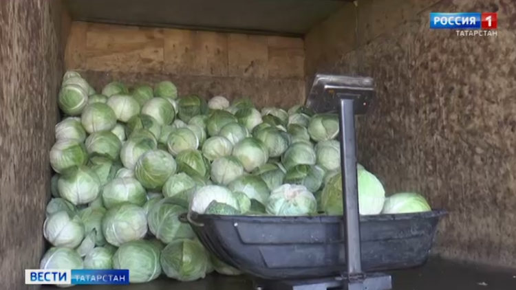 Появились новые подробности ДТП с автобусом и трамваем в Казани