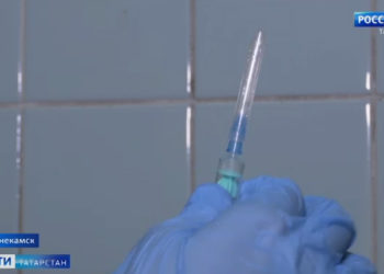 В Казани стартовала перепись бездомных животных