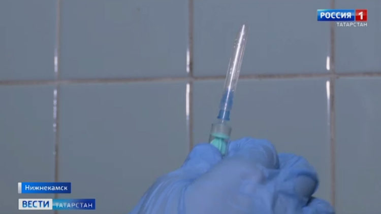 В Казани стартовала перепись бездомных животных