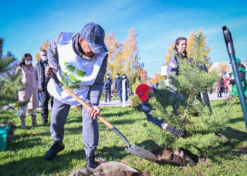 Минниханов принял участие во всероссийской акции «Сохраним лес»