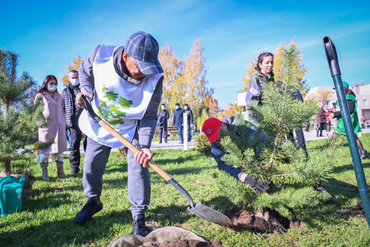 Минниханов принял участие во всероссийской акции «Сохраним лес»