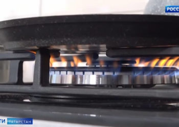 Житель Альметьевского района построил экодом природных материалов