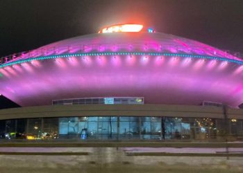 «Нервы сдали»: директор Казанского цирка объяснил агрессивное поведение