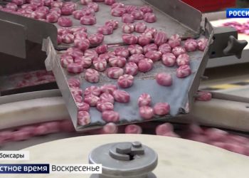 Шоколадный шок: производители сладостей прогнозируют рост цен до 20%