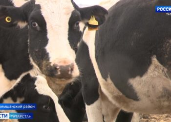 Волонтеры движения «Мы вместе» по всей стране начали акцию «Маленькие радости для врачей»