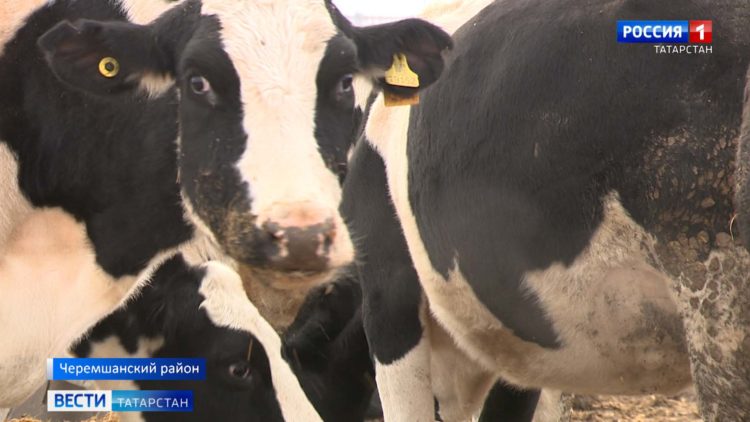 Волонтеры движения «Мы вместе» по всей стране начали акцию «Маленькие радости для врачей»