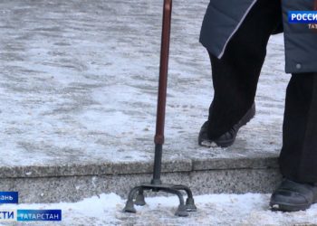 «Это экстренная мера»: Госсовет РТ одобрил федеральный законопроект о QR-кодах