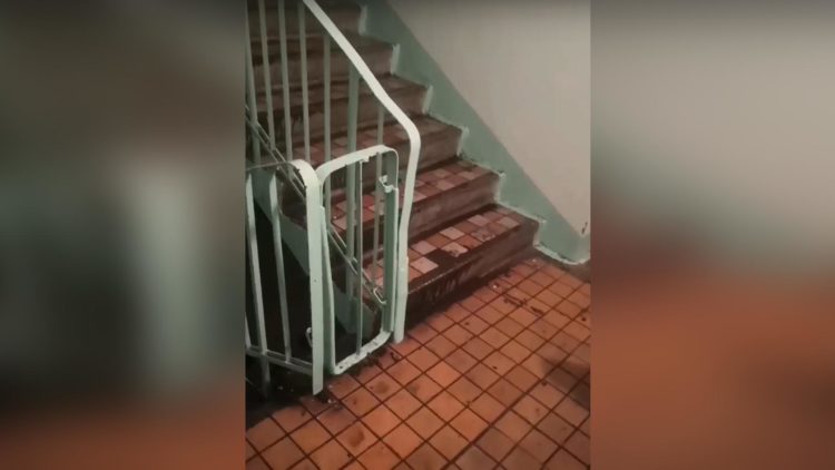 Челнинцы массово жалуются на затопленные подъезды после дождя