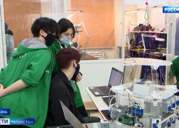 17% татарстанцев воспользовались порталом Госулуг при переписи населения