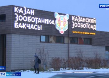 В Татарстане ввели новый этап антиковидных ограничений