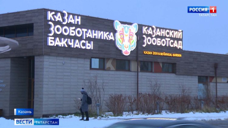 В Татарстане ввели новый этап антиковидных ограничений