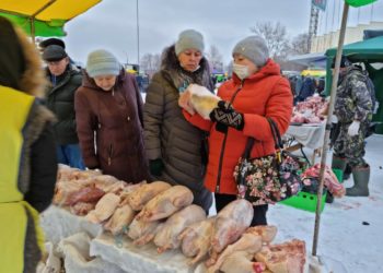 В Челны на ярмарки «Новогодний гусь» завезли более 16,5 тонны мяса птицы