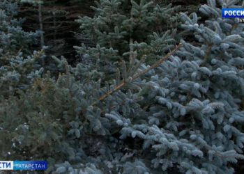 Путин провел заседание по стратегическому развитию и национальным проектам