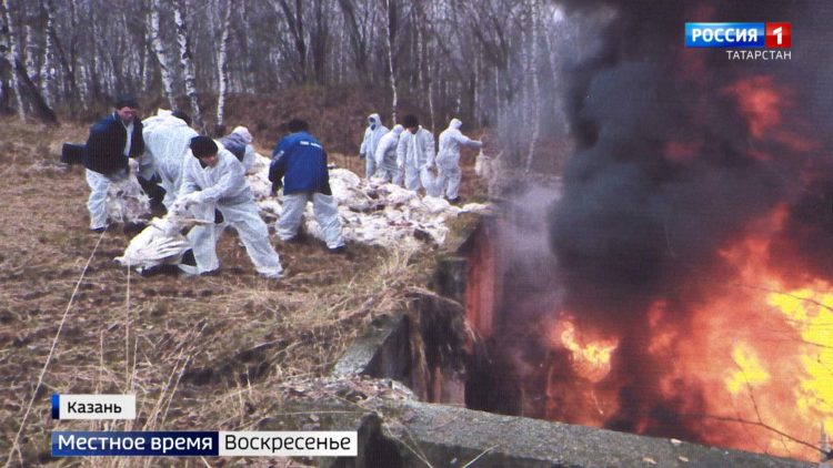 В Тукаевском районе РТ из-за птичьего гриппа уничтожили всех домашних птиц
