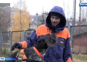 Казанец стал лучшим кинологом МЧС России