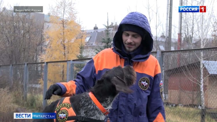 Казанец стал лучшим кинологом МЧС России
