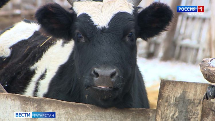 Девочку, на которую в Таиланде упал стол, перевели из реанимации в палату