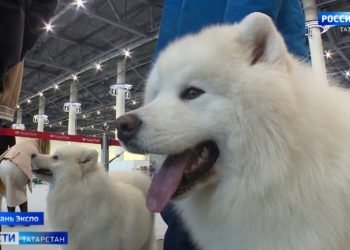 В Казани волонтеры и сотрудники соцзащиты вместе с Дедом Морозом навестили детей, попавших в сложную жизненную ситуацию