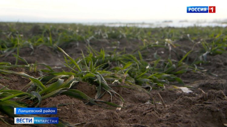 Алексей Песошин провел заседание Наблюдательного совета Инвестиционно-венчурного фонда РТ