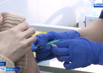 Казанцы из-за стаи агрессивных собак вынуждены ходить с электрошокером