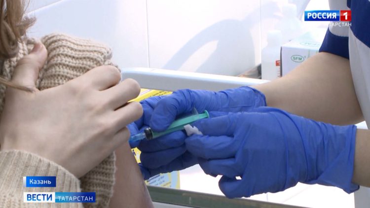 Казанцы из-за стаи агрессивных собак вынуждены ходить с электрошокером